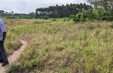 Land for sale Janda, located  300 meters from the tarmac, beyond Busiika town.