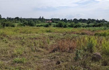 Land for sale Janda, located  300 meters from the tarmac, beyond Busiika town.