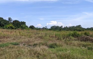Land for sale Janda, located  300 meters from the tarmac, beyond Busiika town.