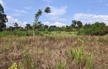 Land for sale Janda, located  300 meters from the tarmac, beyond Busiika town.