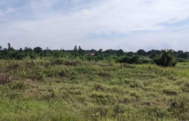 Land for sale Janda, located  300 meters from the tarmac, beyond Busiika town.