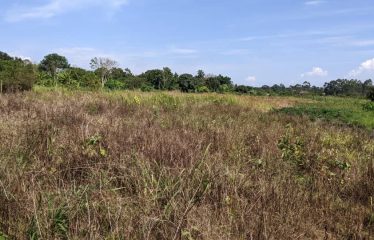 Land for sale Janda, located  300 meters from the tarmac, beyond Busiika town.