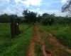 Land for Sale at Ssanga Matugga 500m off Semuto Rd.