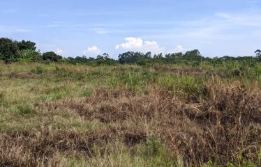 Land for sale Janda, located  300 meters from the tarmac, beyond Busiika town.