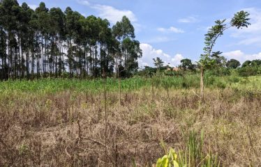 Land for sale Janda, located  300 meters from the tarmac, beyond Busiika town.