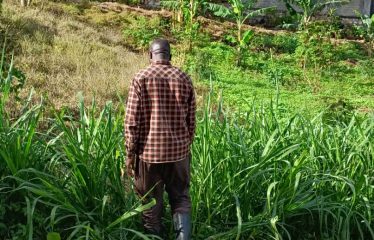 Land for Sale-Ssonde Bukelele