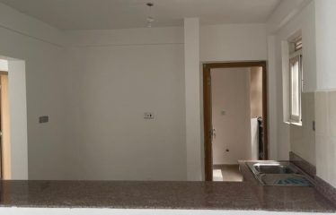 Modern Apartments-Naalya