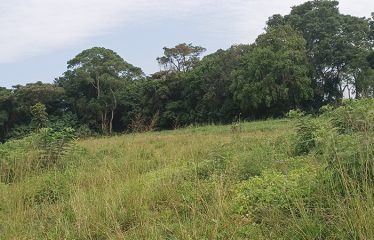 Land for Sale-Kiwenda