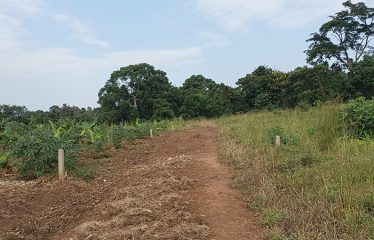 Land for Sale-Kiwenda