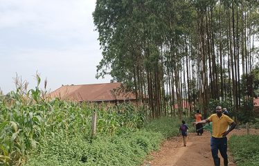 Land for Sale-Gayaza Nabutaka